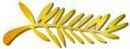 palme d'or
