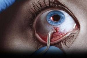 the-strain-tv-Guillermo-del-Toro-series-2014-critique-saison1