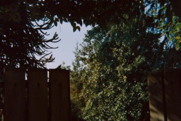 visite-memoires-confessions-manoel-de-oliveira-critique