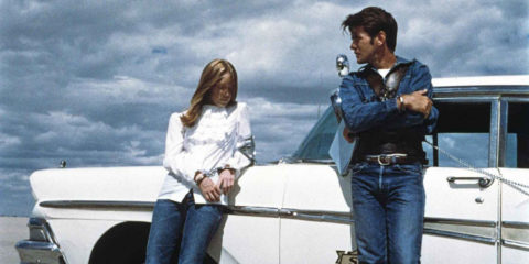 la-balade-sauvage-terrence-malick-film-critique