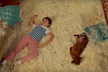 le-teckel-todd-solondz-deauville-2016