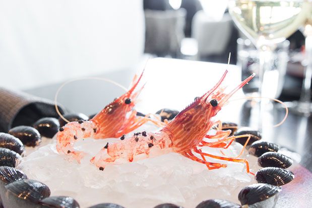 Noma-au-Japon-ants-on-a-shrimp-documentaire-maurice dekkers