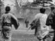 yojimbo-actu-dvd-akira-kurosawa-toshiro-mifune-une