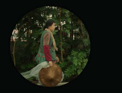 i-am-not-madame-bovary-fan-bingbing-telescope