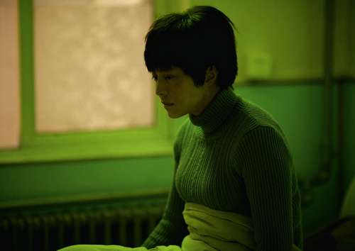 i-am-not-madame-bovary-fan-bingbing